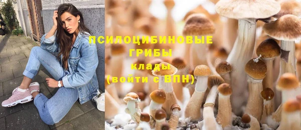 спайс Белоозёрский