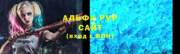 прущие грибы Балабаново